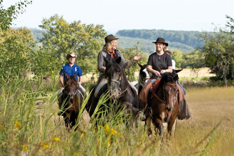 Sternritte und Wanderritte in den Vogesen