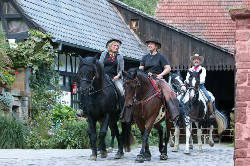 Sternritte und Wanderritt in den Nordvogesen