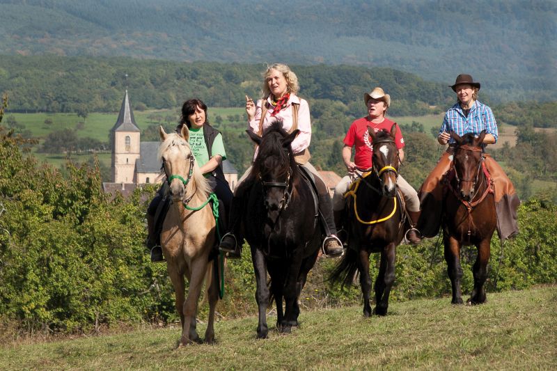 Sternritte und Wanderritte in den Vogesen