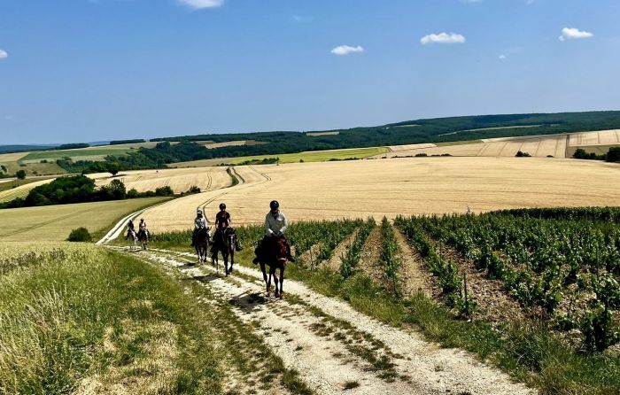 Burgund Weinberge und Schlösser Ritt