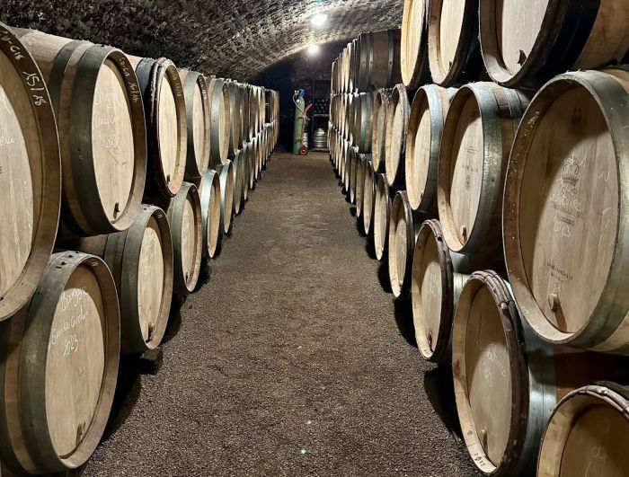 Burgund Weinberge und Schlösser Ritt