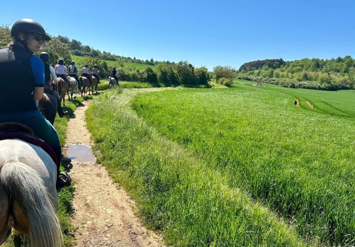 Burgund Weinberge und Schlösser Ritt