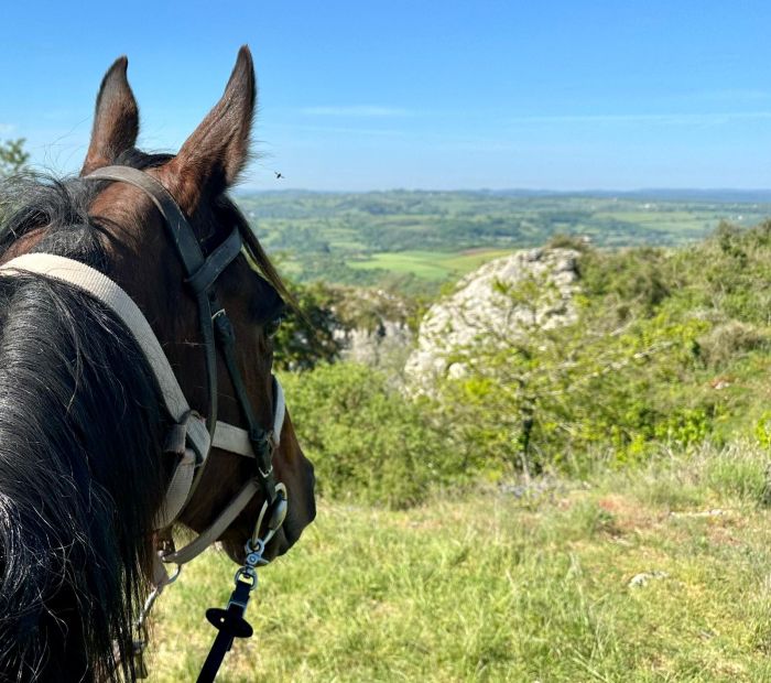 Burgund Weinberge und Schlösser Ritt