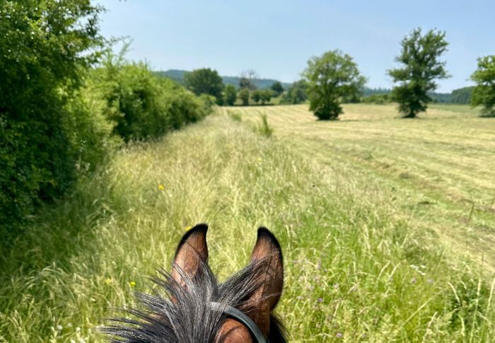 Burgund Weinberge und Schlösser Ritt