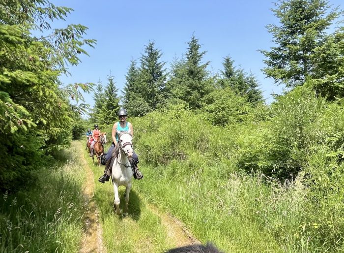 Burgund Weinberge und Schlösser Ritt