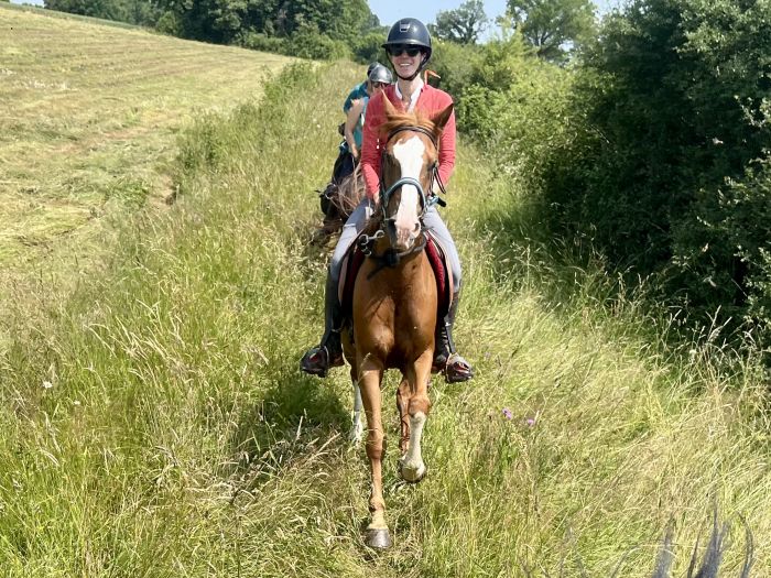 Burgund Weinberge und Schlösser Ritt