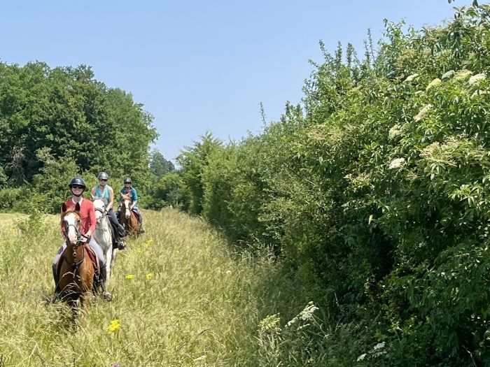 Burgund Weinberge und Schlösser Ritt