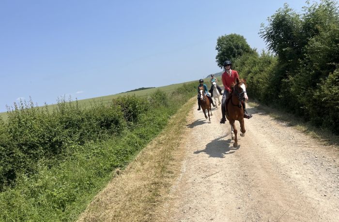 Burgund Weinberge und Schlösser Ritt