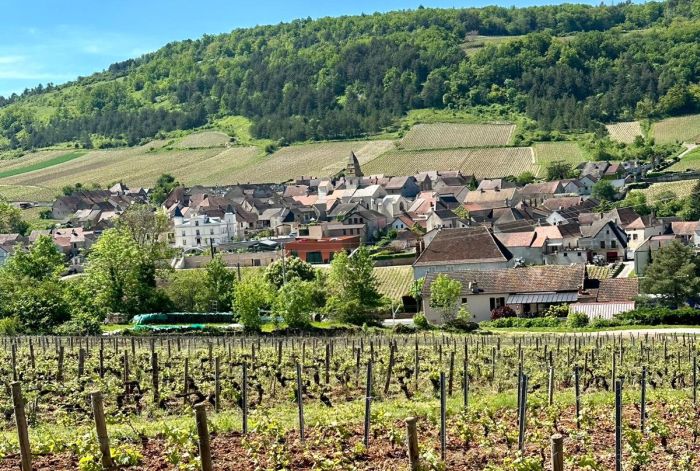 Burgund Weinberge und Schlösser Ritt
