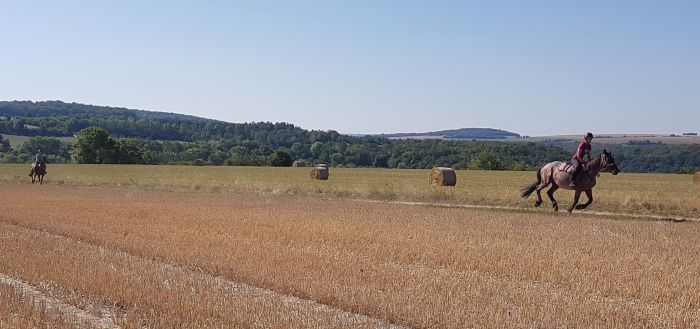 Naturpark Burgund im Galopp