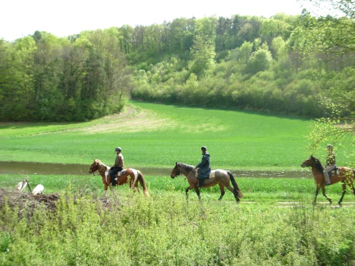 Naturpark Burgund im Galopp