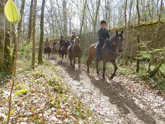 Naturpark Burgund im Galopp