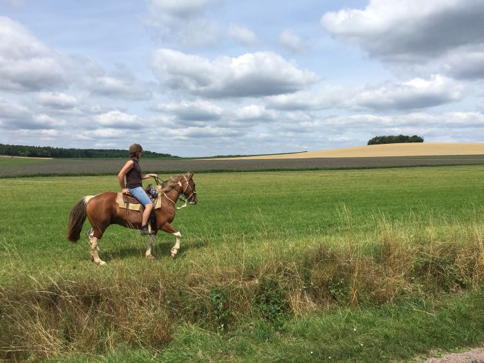 Naturpark Burgund im Galopp