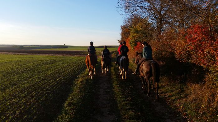 Naturpark Burgund im Galopp