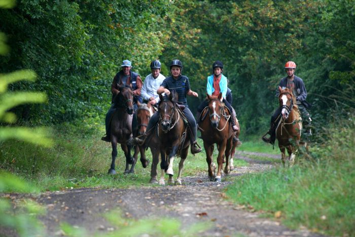 Naturpark Burgund im Galopp