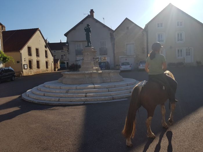 Naturpark Burgund im Galopp