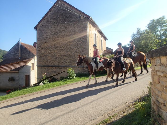 Naturpark Burgund im Galopp