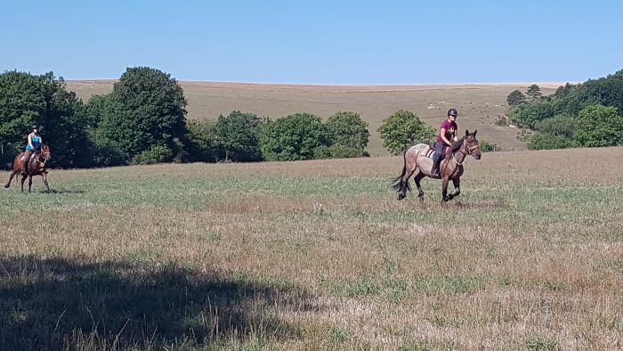 Naturpark Burgund im Galopp