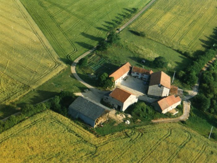 Naturpark Burgund im Galopp