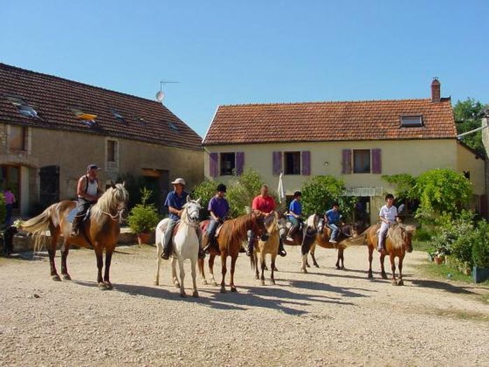 Naturpark Burgund im Galopp