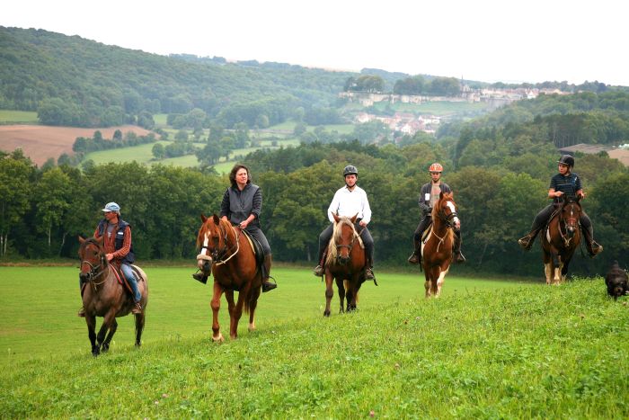 Naturpark Burgund im Galopp