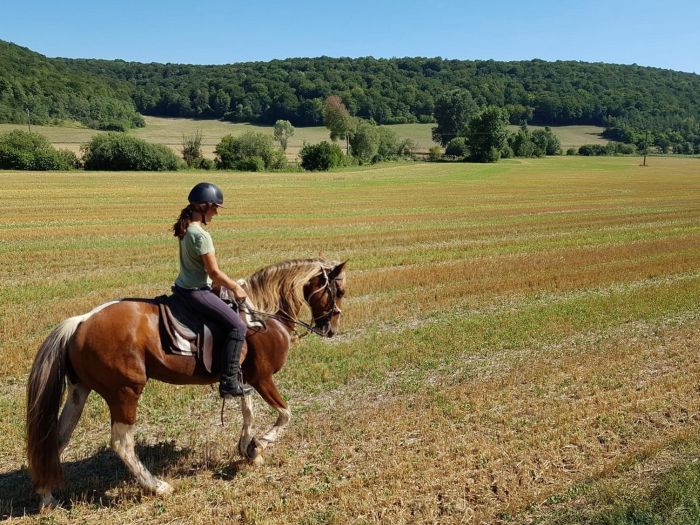 Naturpark Burgund im Galopp