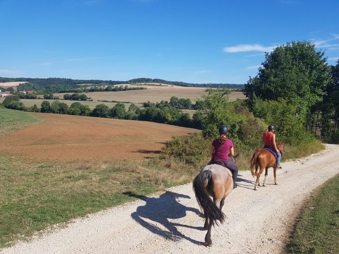 Naturpark Burgund im Galopp