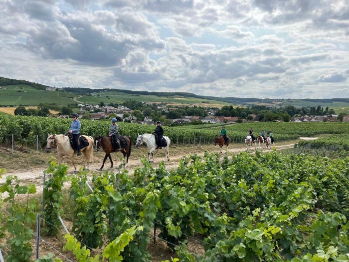 Prickelnder Ritt durch die Champagne