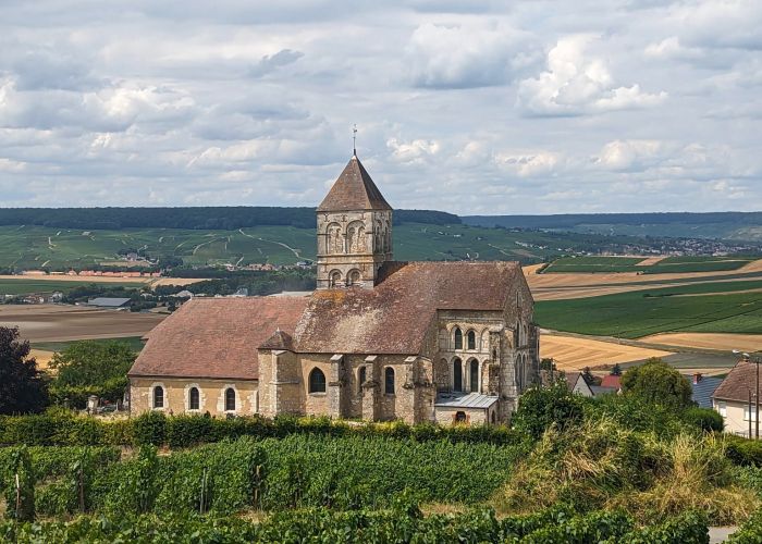 Prickelnder Ritt durch die Champagne