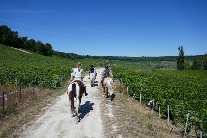 Prickelnder Ritt durch die Champagne