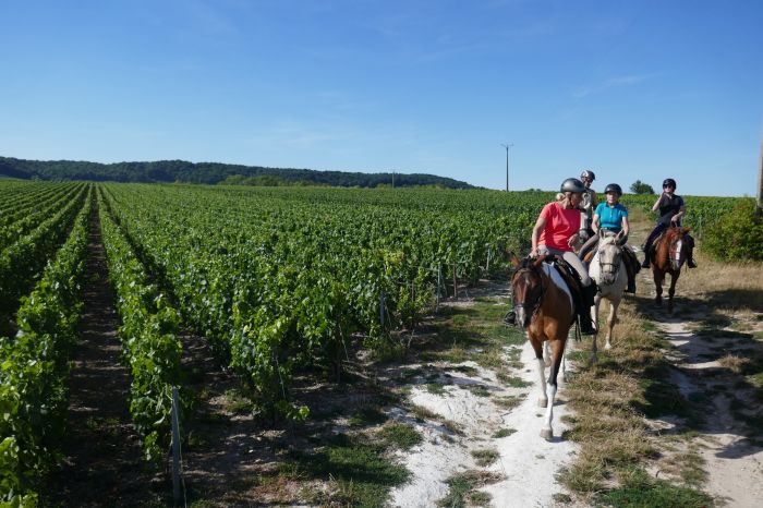 Prickelnder Ritt durch die Champagne