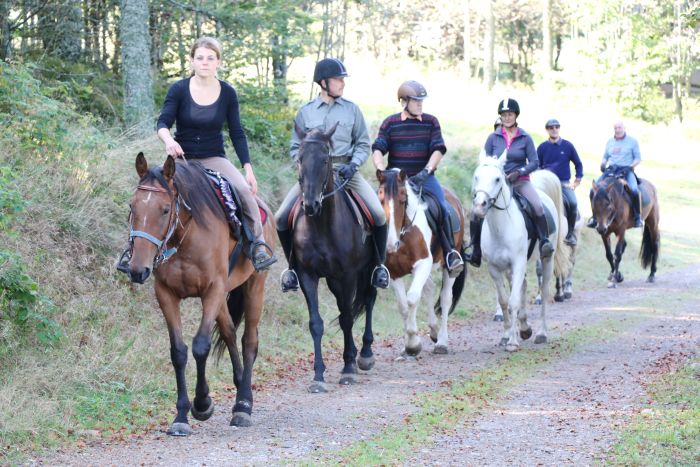 Reiturlaub im schönen Elsass