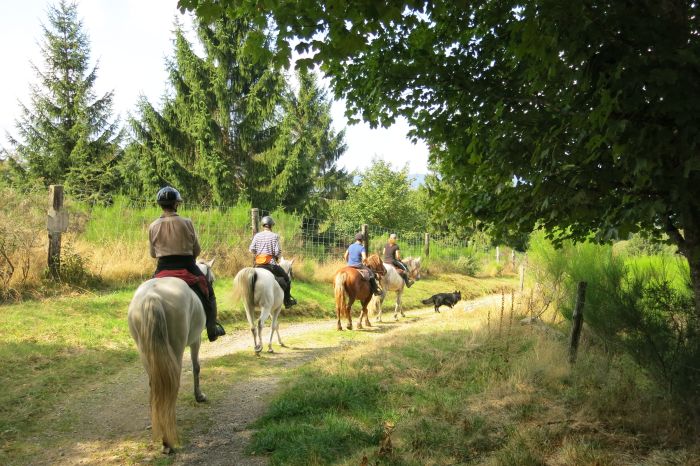 Reiturlaub im schönen Elsass