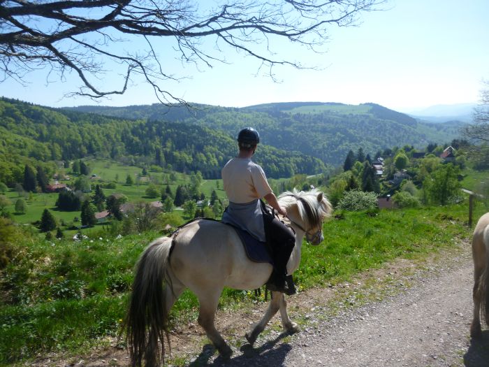 Reiturlaub im schönen Elsass