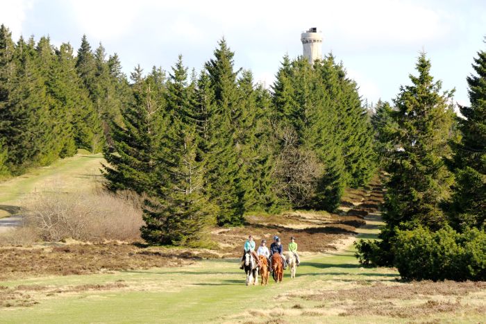 Reiturlaub im schönen Elsass