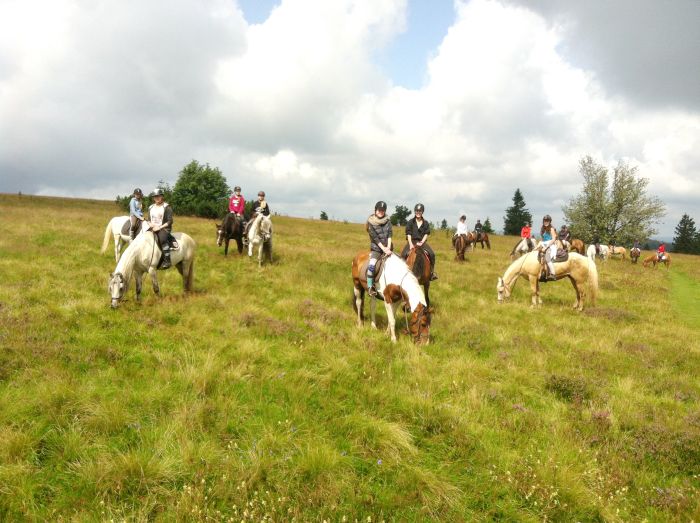 Reiturlaub im sch&ouml;nen Elsass
