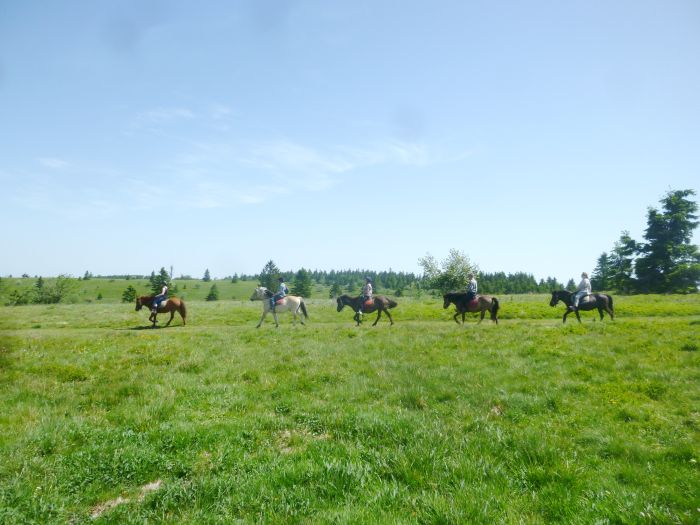 Reiturlaub im schönen Elsass