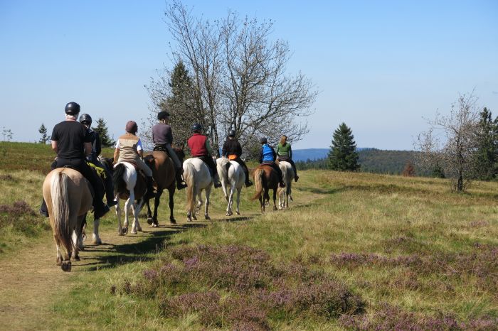 Reiturlaub im schönen Elsass