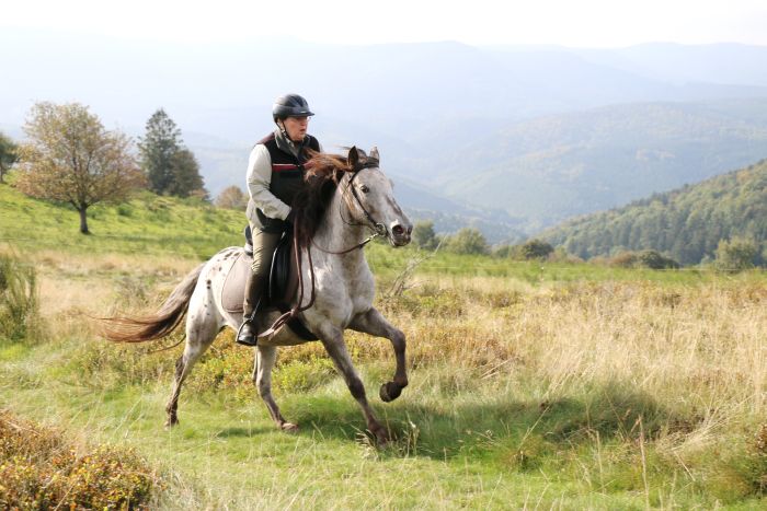 Reiturlaub im schönen Elsass