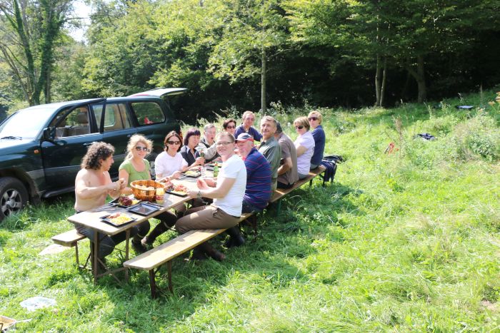 Reiturlaub im schönen Elsass