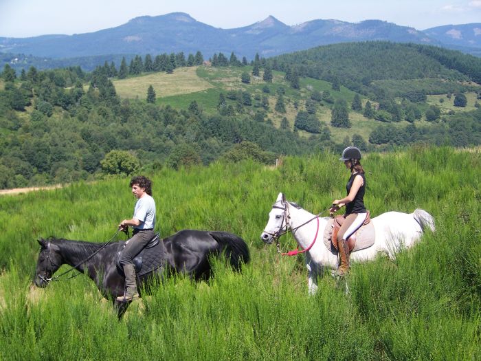 Reiturlaub im schönen Elsass