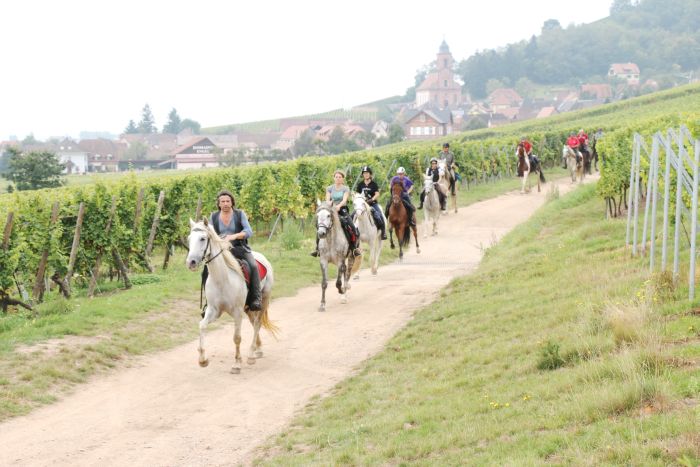 Reiturlaub im schönen Elsass