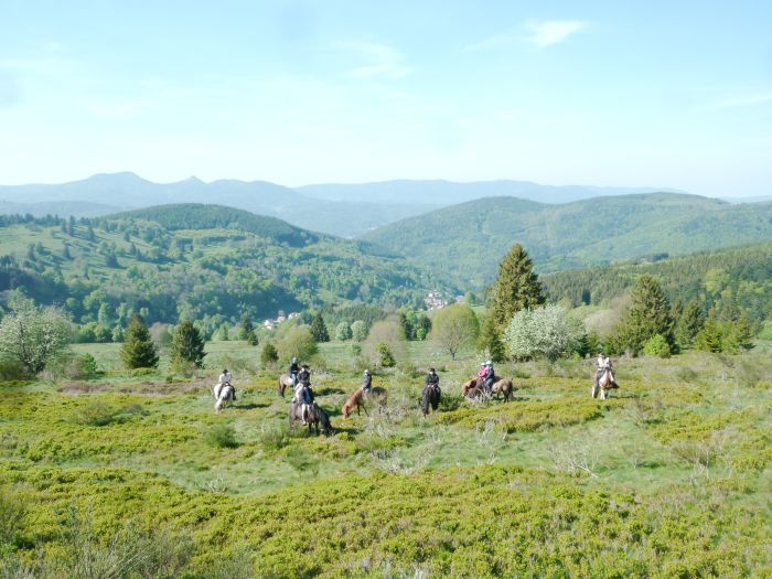 Reiturlaub im schönen Elsass