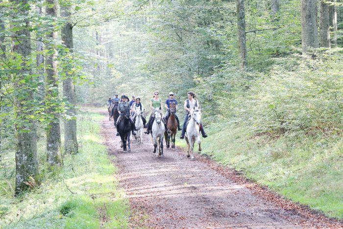 Reiturlaub im schönen Elsass