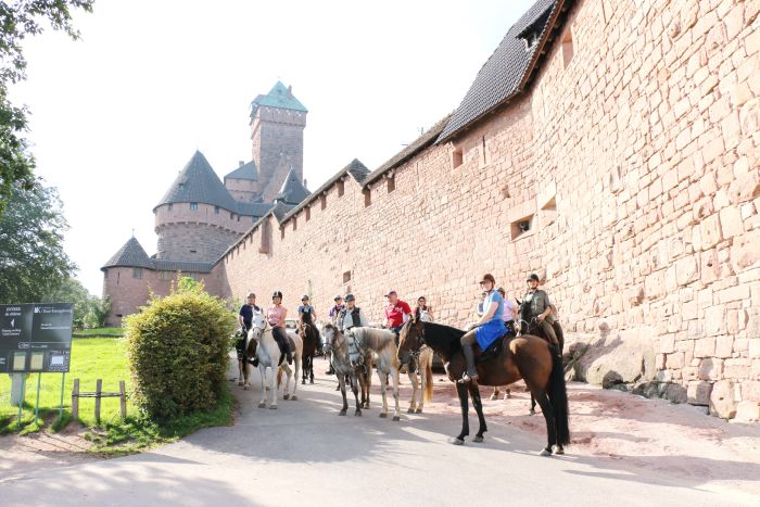 Reiturlaub im schönen Elsass