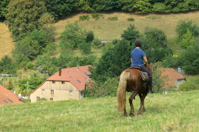 Reiturlaub im schönen Elsass