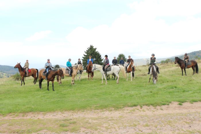 Reiturlaub im schönen Elsass