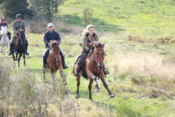 Reiturlaub im schönen Elsass