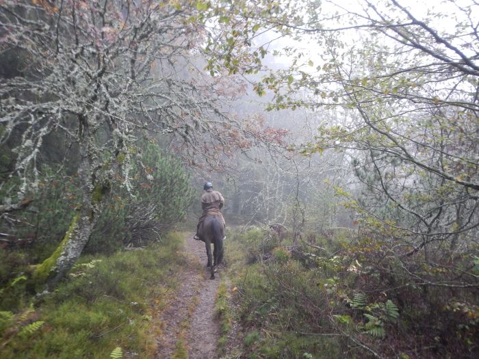 Reiturlaub im sch&ouml;nen Elsass
