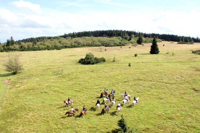 Reiturlaub im schönen Elsass